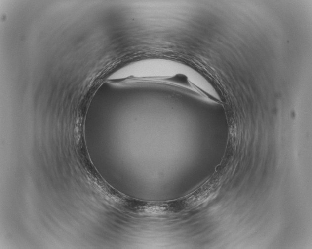 X0000087350462200705111624
