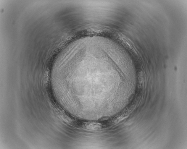 X0000087350463200705111624