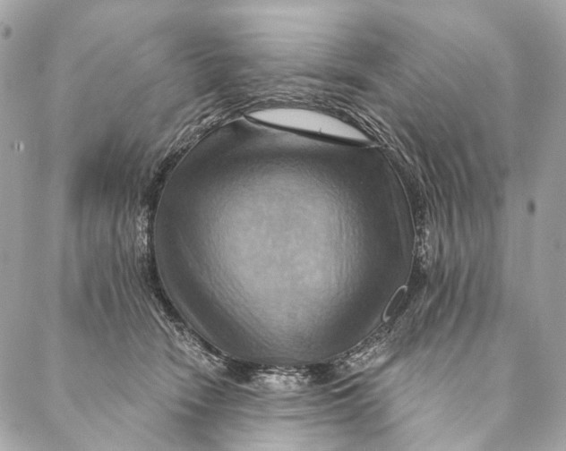 X0000087350466200705111624