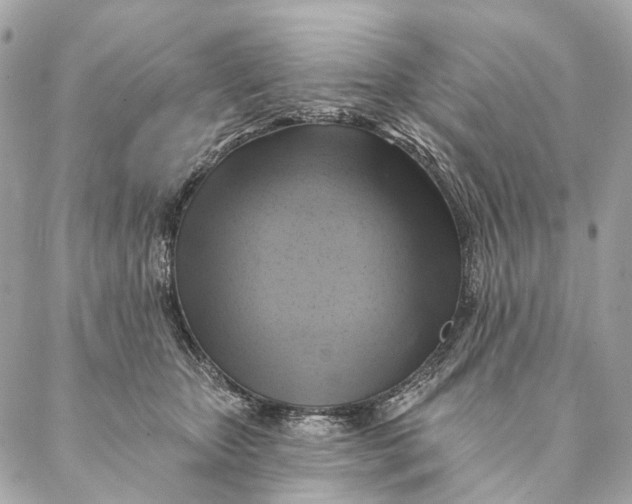 X0000087350467200705111624