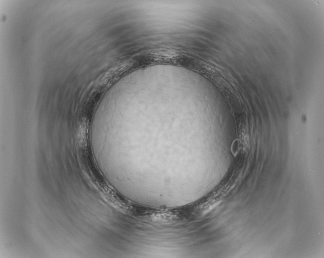 X0000087350468200705111624