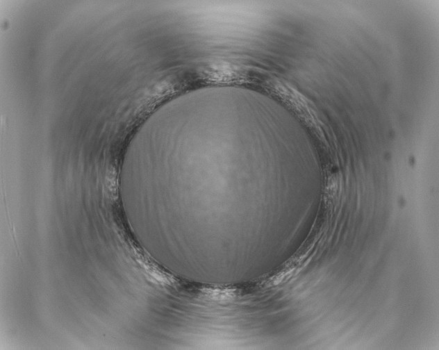 X0000087350469200705111624