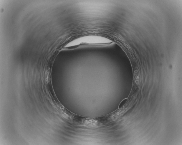 X0000087350471200705111624
