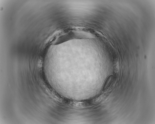 X0000087350472200705111624