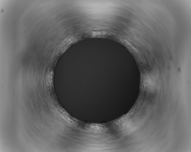 X0000087350475200705111624