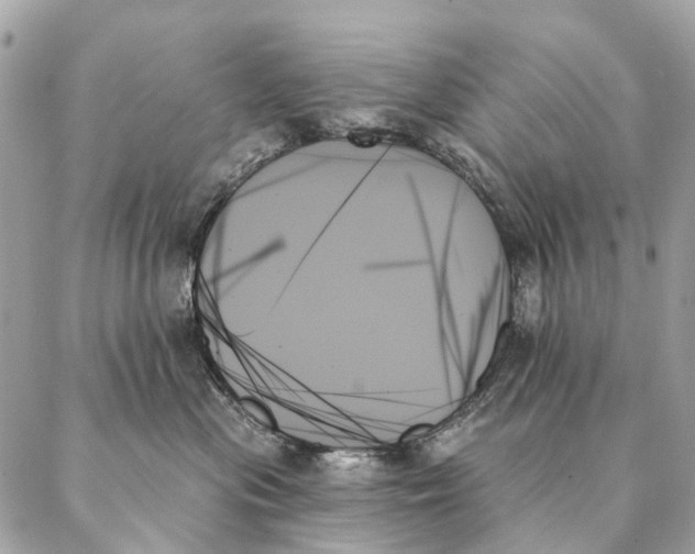 X0000087350477200705111624