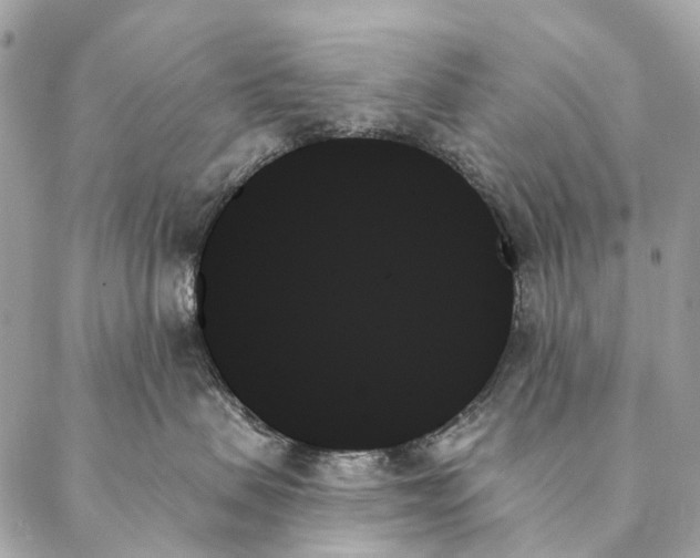 X0000087350479200705111624