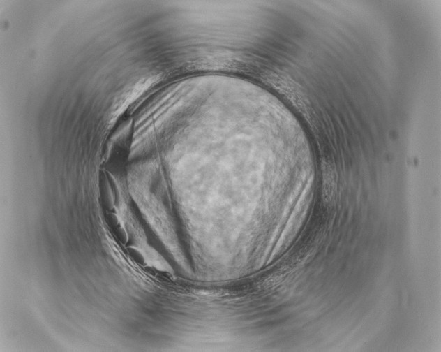 X0000087350482200705111624