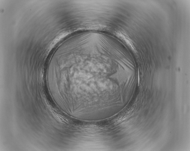 X0000087350483200705111624