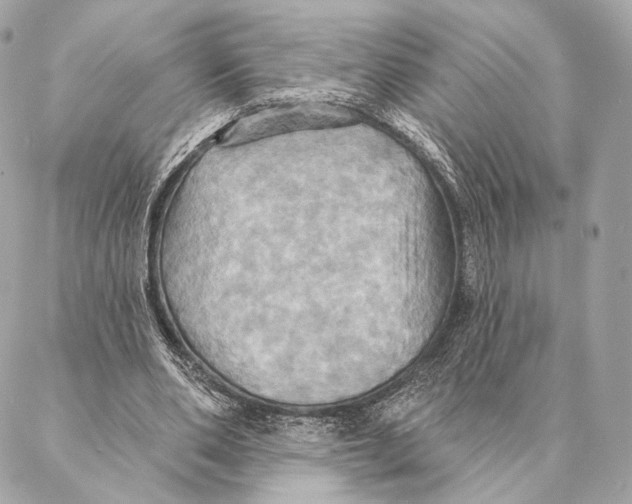 X0000087350486200705111623