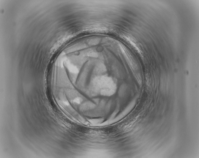 X0000087350487200705111623