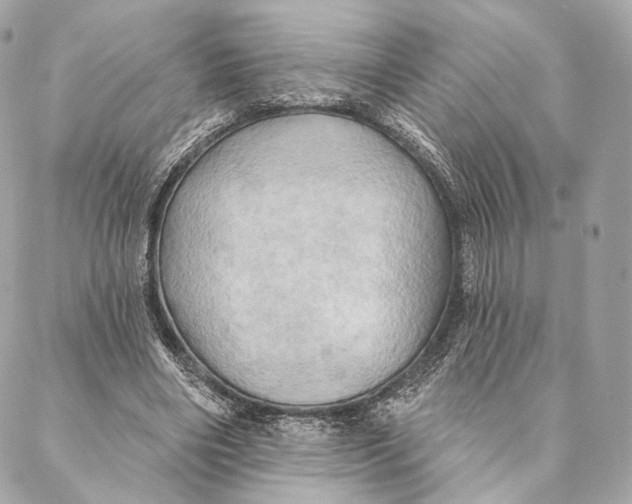 X0000087350490200705111623