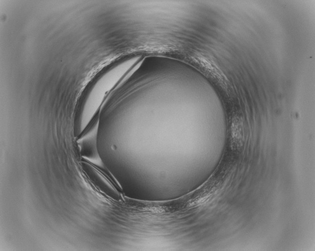 X0000087350492200705111623