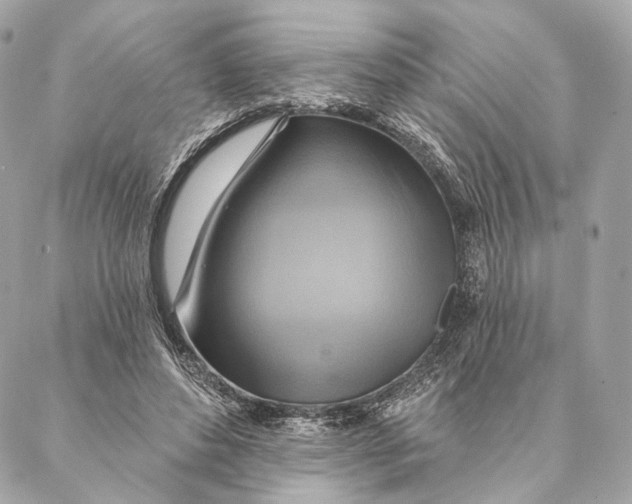 X0000087350496200705111623