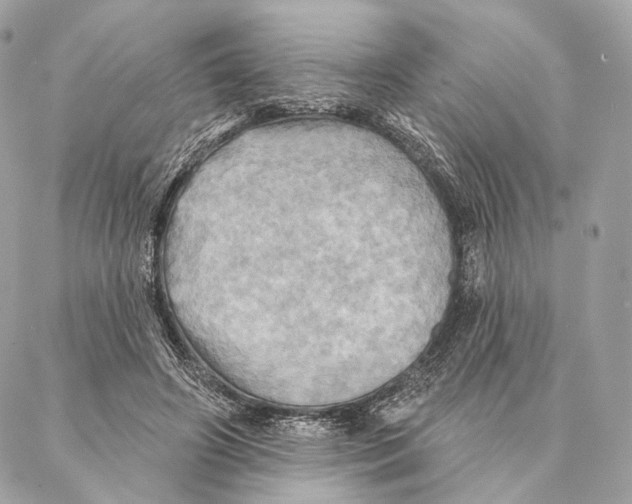 X0000087350498200705111623