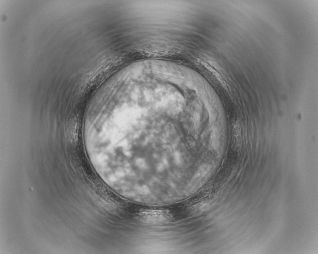 X0000087350499200705111623