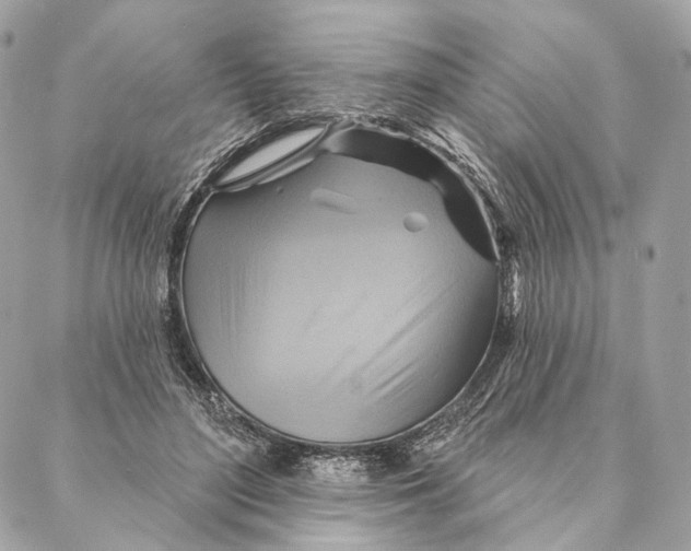 X0000087350500200705111623