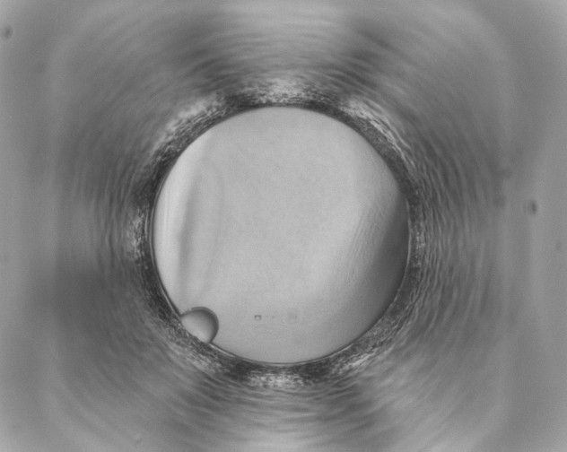 X0000087350503200705111623