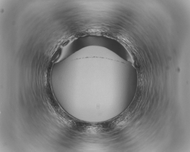 X0000087350504200705111623
