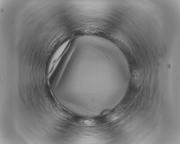 X0000087350506200705111623