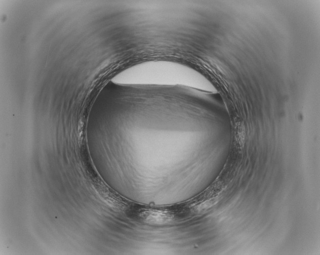 X0000087350507200705111623