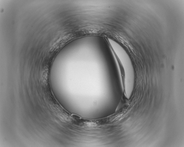 X0000087350509200705111623
