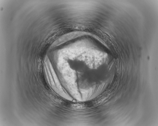 X0000087350511200705111623