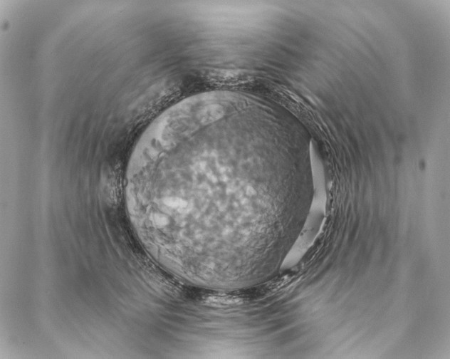 X0000087350515200705111623
