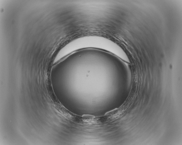X0000087350516200705111623