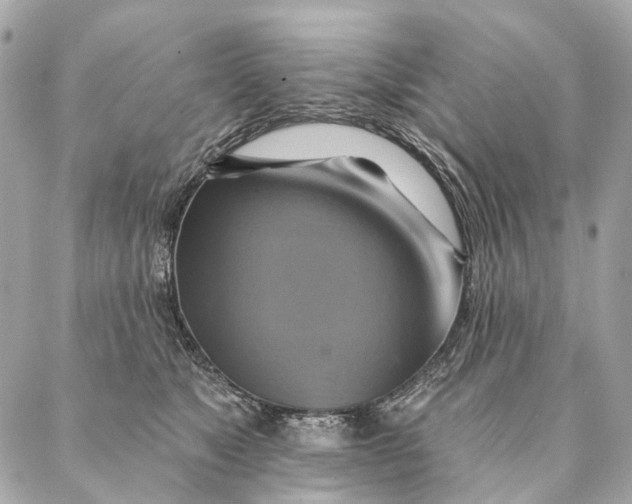 X0000087350517200705111623