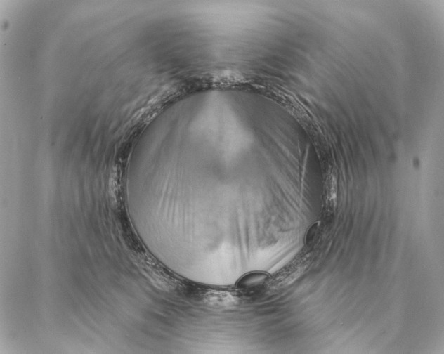 X0000087350519200705111623