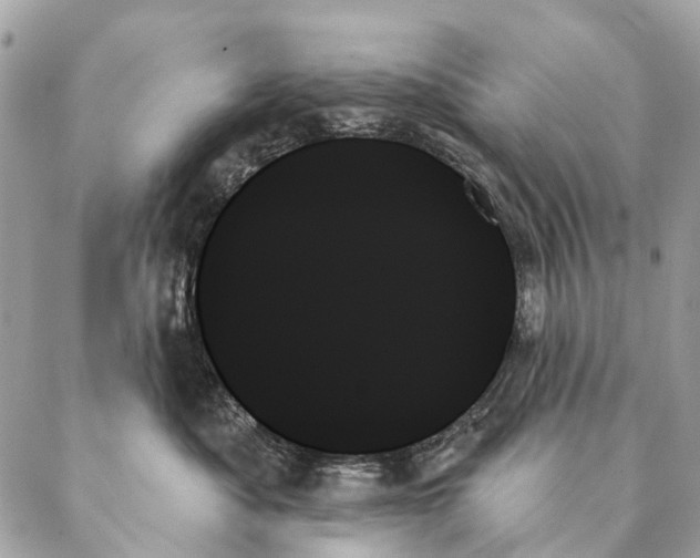 X0000087350525200705111623