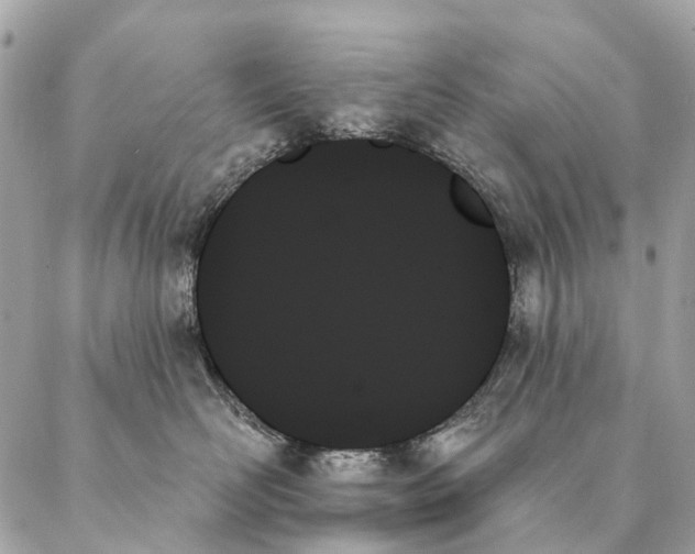 X0000087350526200705111623