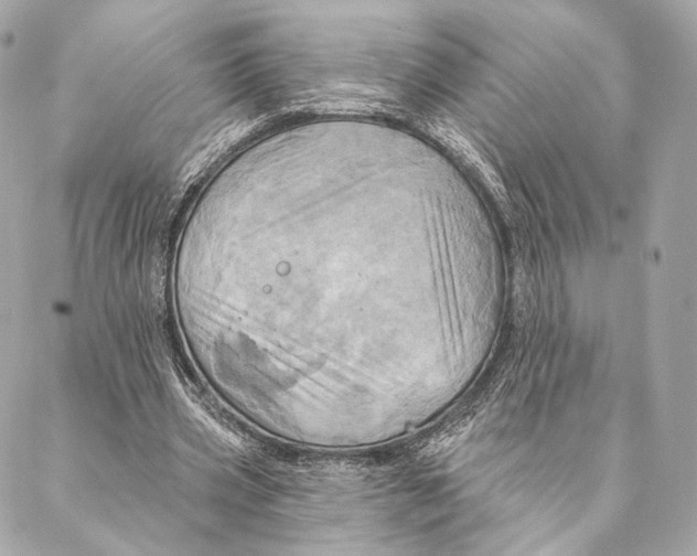 X0000087350533200705111622