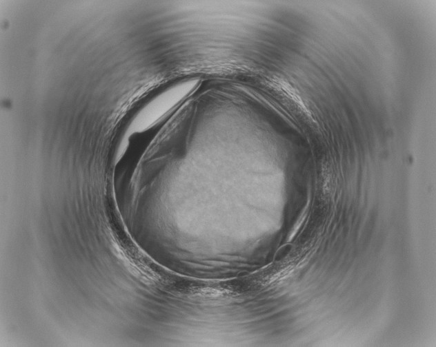 X0000087350542200705111622