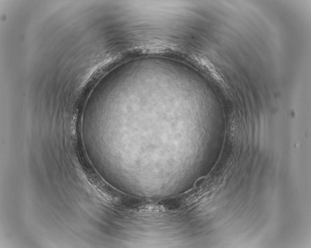 X0000087350543200705111622