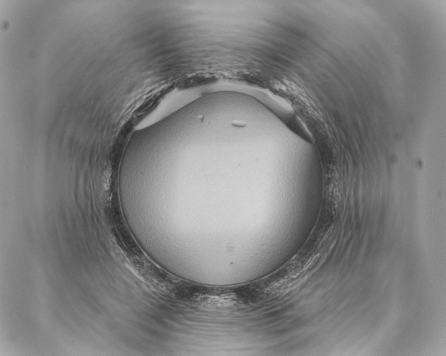 X0000087350548200705111622