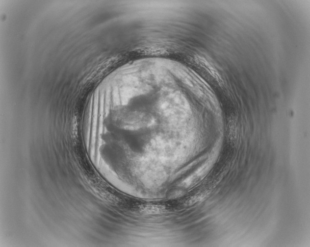 X0000087350549200705111622