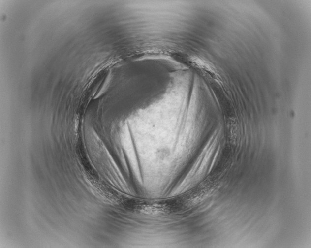 X0000087350550200705111622