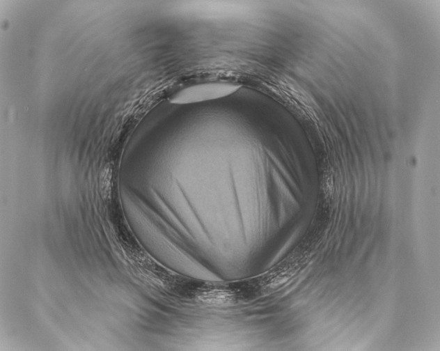 X0000087350551200705111622