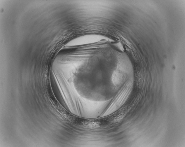 X0000087350553200705111622