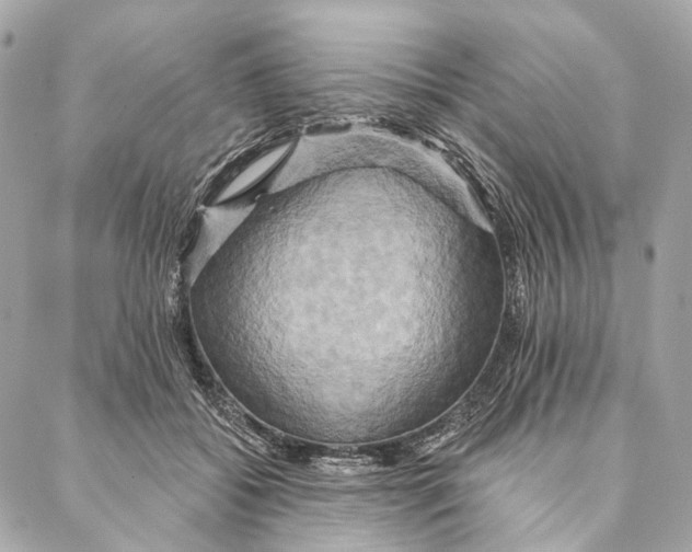 X0000087350556200705111622