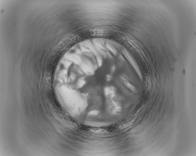 X0000087350557200705111622