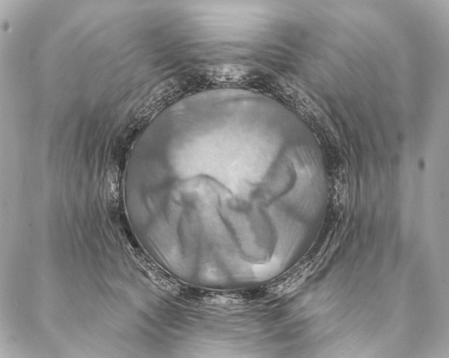 X0000087350561200705111623