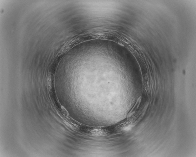X0000087350562200705111623