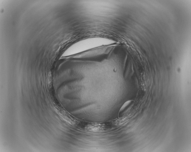 X0000087350563200705111623