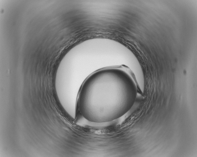 X0000087350564200705111623