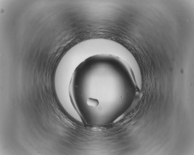 X0000087350566200705111623