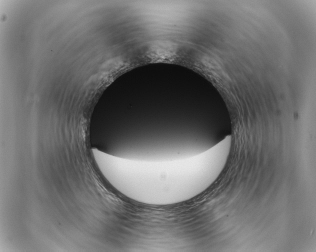 X0000087350570200705111623