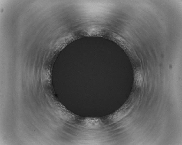 X0000087350571200705111623